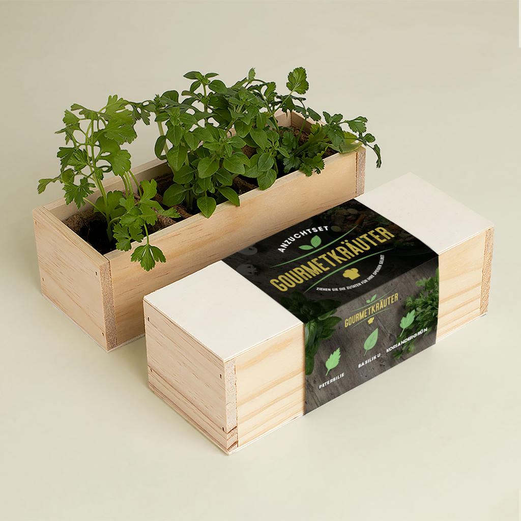 KräuterBox Anzuchtsets Gourmetkräuter