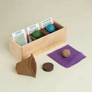 KräuterBox Anzuchtsets Gourmetkräuter