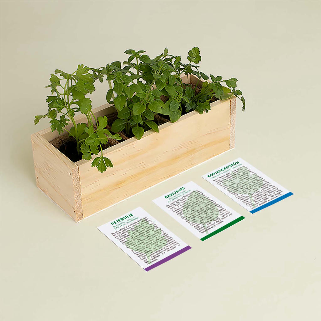 KräuterBox Anzuchtsets Gourmetkräuter