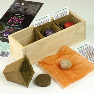 Kräuterbox Anzuchtset Essbare Blüten (Ringelblume, Gartenstiefmütterchen, große Kapuzinerkresse)