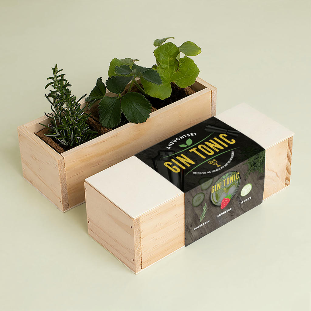 KräuterBox Anzuchtsets Gin Tonic