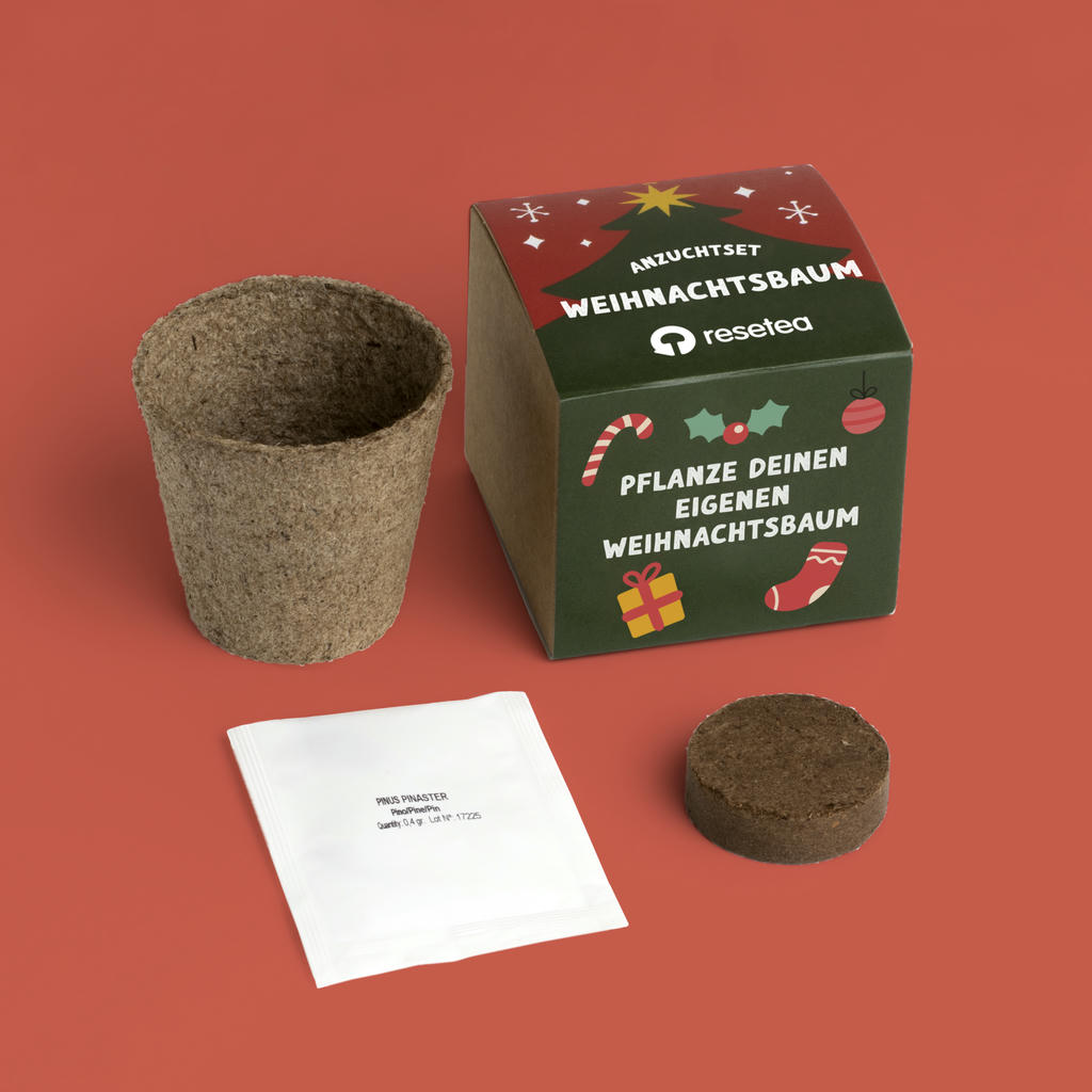 Anzuchtset Weihnachtsbaum