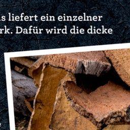50 Bäume kennen & erleben. - Nature Zoom (Blechdose)