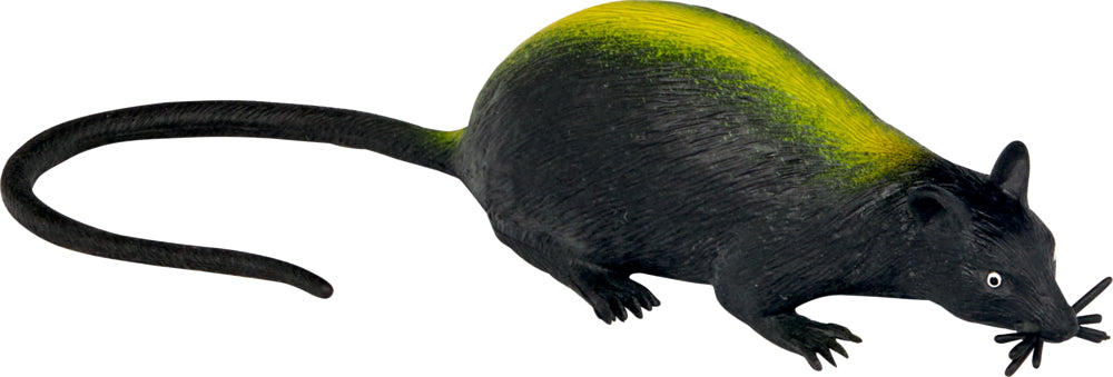Kanalratte