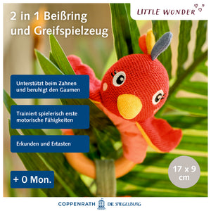 Holz-Ringrassel Paradiesvogel