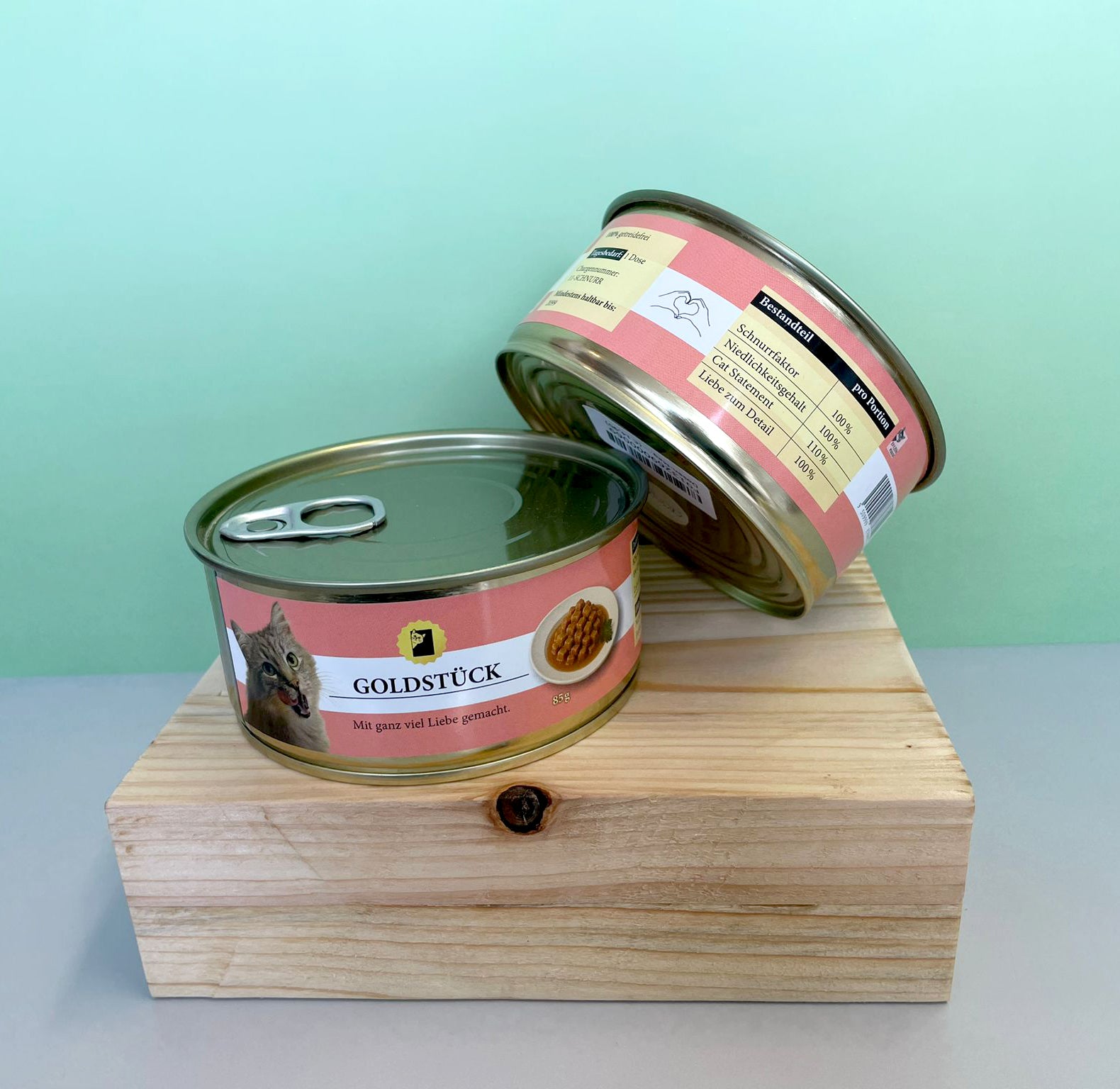 Magnet Kätzchen in der Kiste in Katzenfutter-Dose