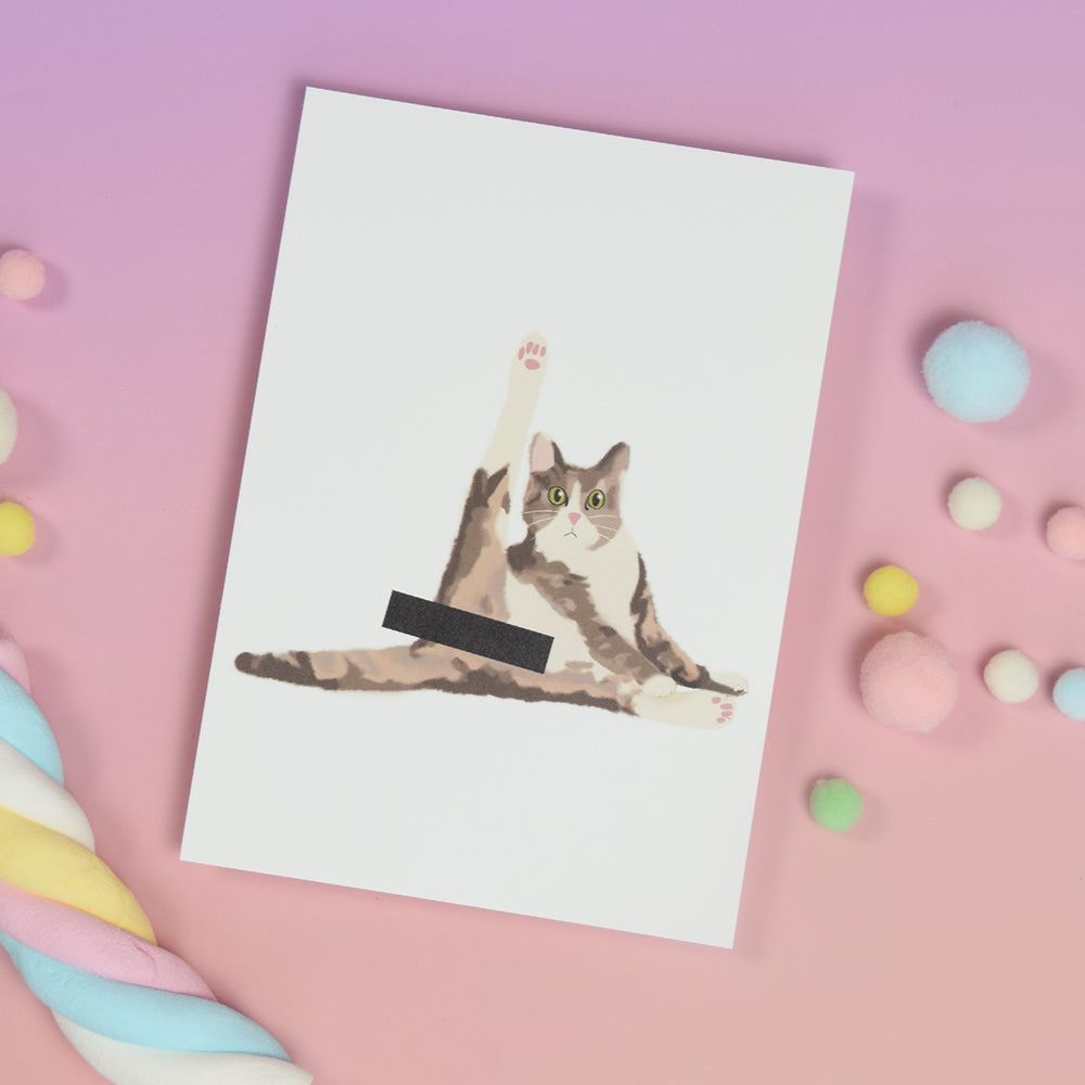Postkarte Popokatze