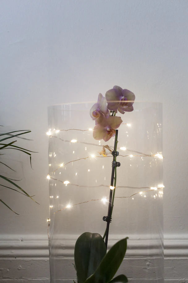 Lichterkette Kupferdraht LED