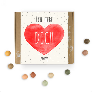 Geschenkbox "Ich liebe dich" mit 9 Samenbomben